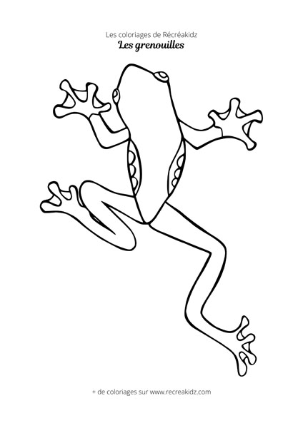 Coloriage de grenouille CP