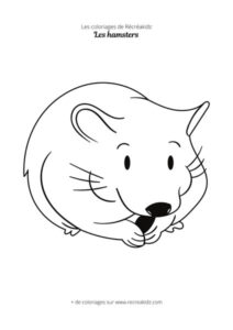 Coloriage hamster simple