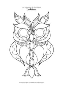 Coloriage hibou difficile