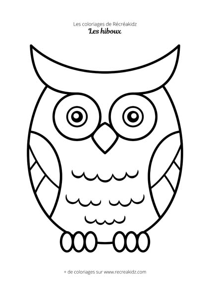 Coloriage hibou facile