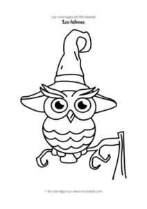 Coloriage hibou maternelle