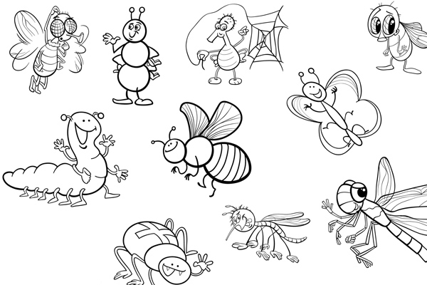 Coloriage insectes à imprimer