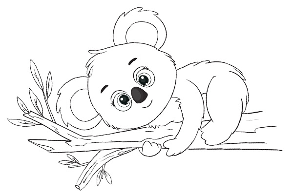 Coloriage koala à imprimer