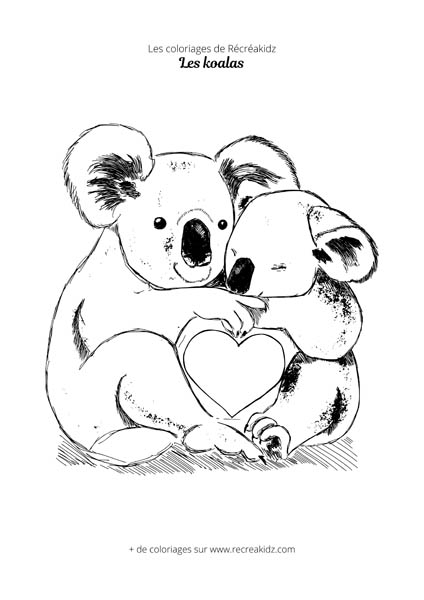 Coloriage de koala réaliste