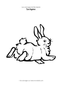 Coloriage de lapin pour enfant