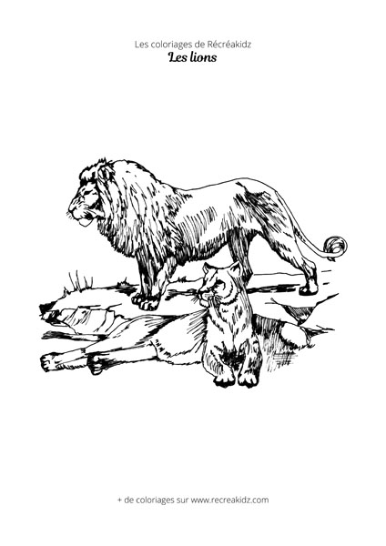 Coloriage de lion et lionne
