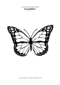 Coloriage papillon CP
