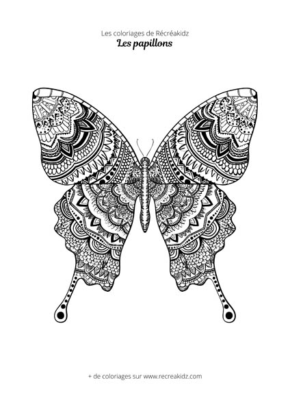 Coloriage papillon difficile