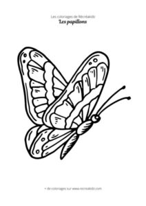 Coloriage de papillon simple