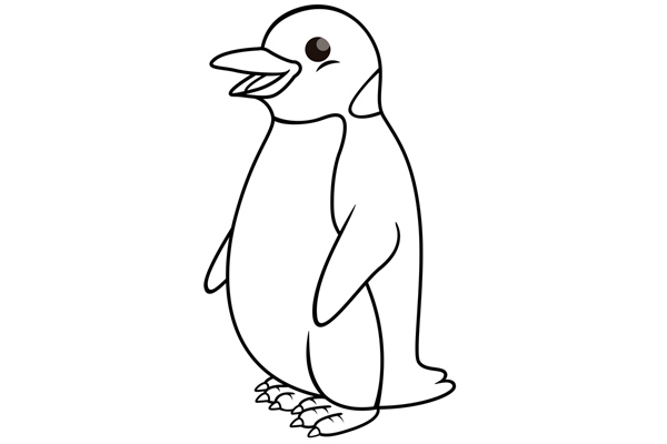 Coloriage de pingouin et manchot à imprimer