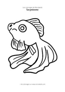 Coloriage de poisson combattant