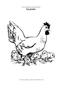 Coloriage de poule à imprimer. Pour enfants de maternelle 3 ans