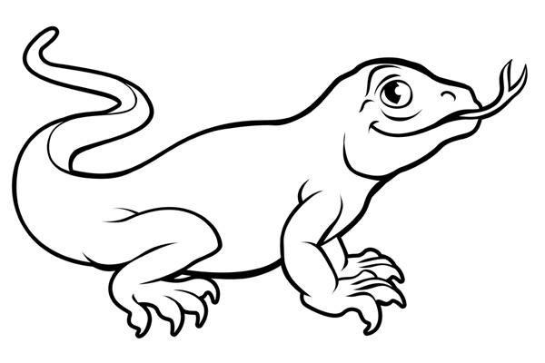 Coloriage reptile à imprimer