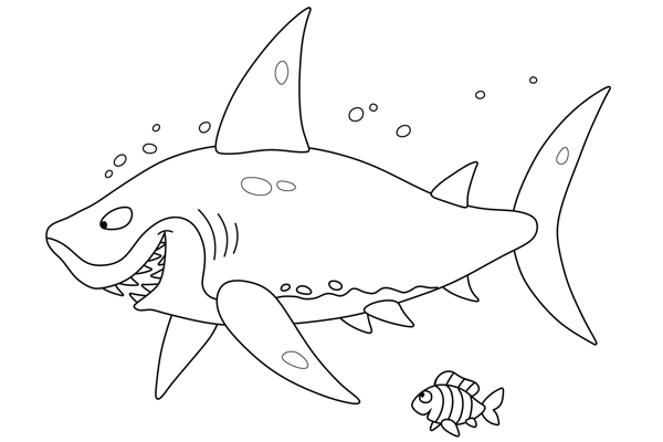 Coloriage requin à imprimer