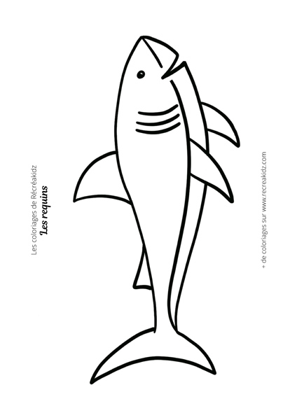 Coloriage requin facile