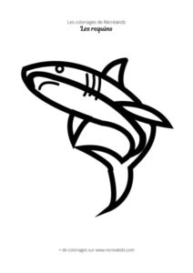 Coloriage requin maternelle