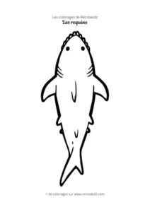 Coloriage de requin pour enfant