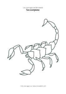 Coloriage de scorpion pour le CP