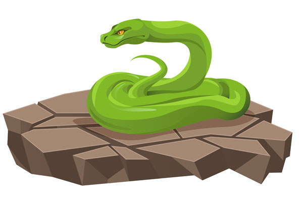 Coloriage de serpent à imprimer en PDF