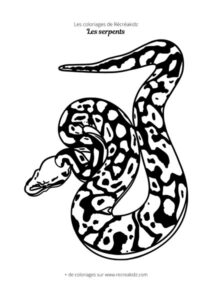 Coloriage de serpent boa