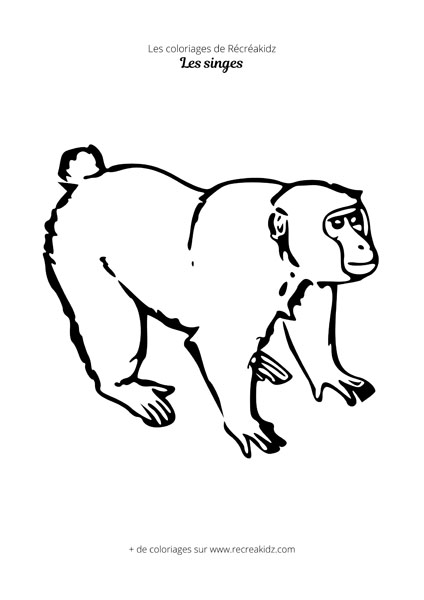 Coloriage de singe pour enfant