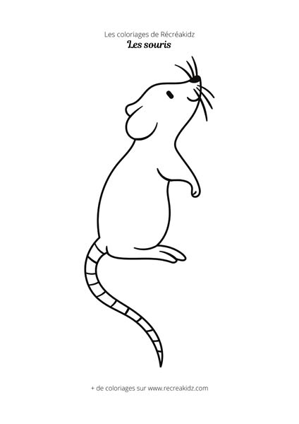 Coloriage de souris simple à réaliser