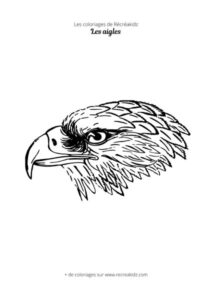 Coloriage de tête d'aigle