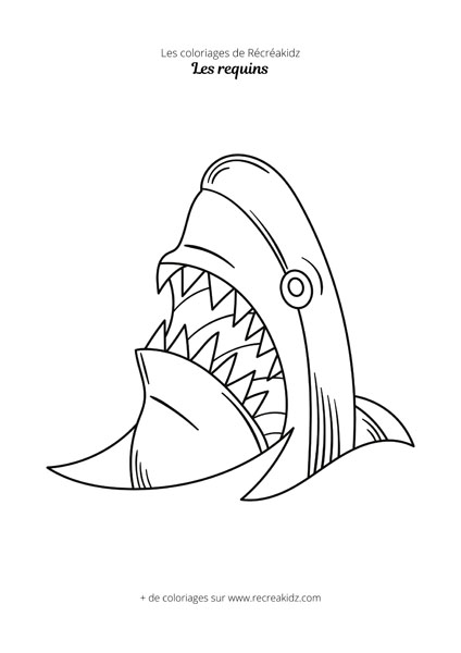 Coloriage de tête de requin