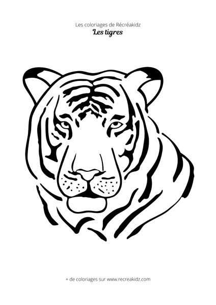 coloriage tête de tigre dessin à colorier imprimer en pdf