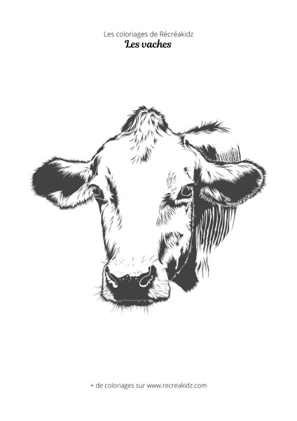 Coloriage de tête de vache