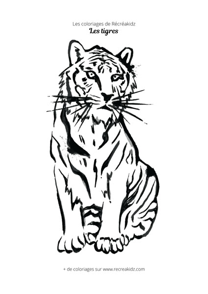 Coloriage tigre pour enfant