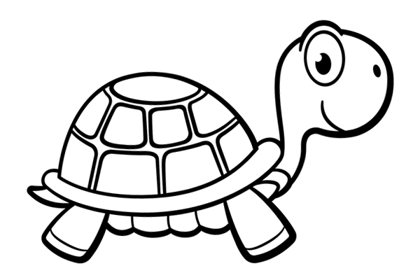 Coloriage tortue à imprimer