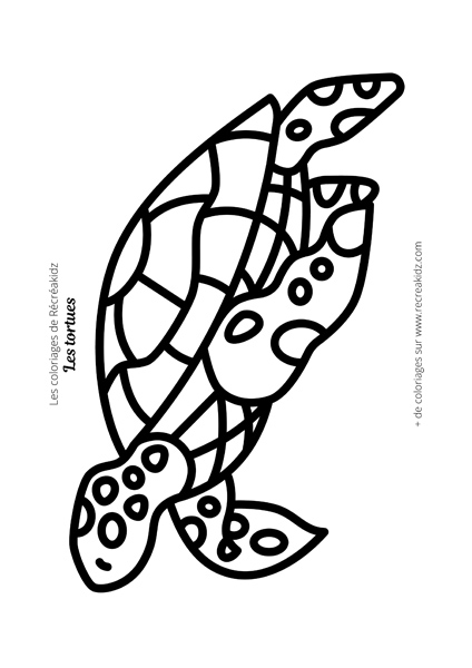 Coloriage tortue de mer