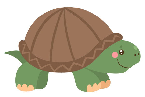 Coloriage de tortue gratuit