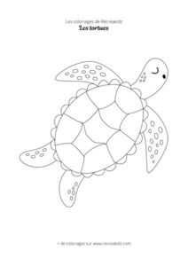 Coloriage tortue simple