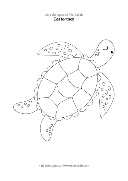 Coloriage tortue simple