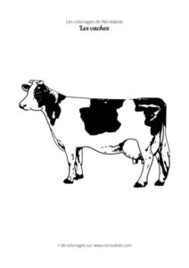 Coloriage de vache réaliste