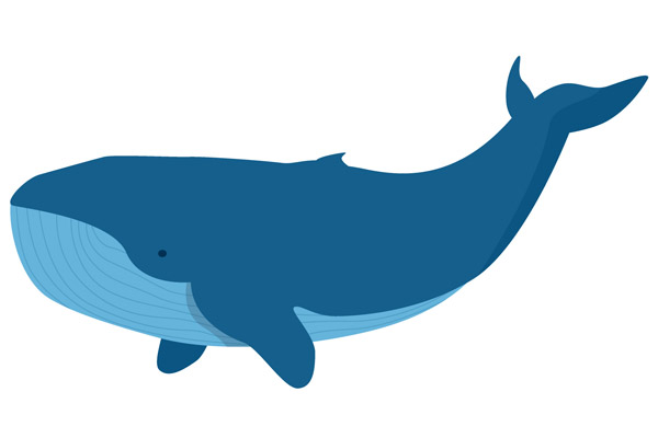 Dessin de baleine à colorier