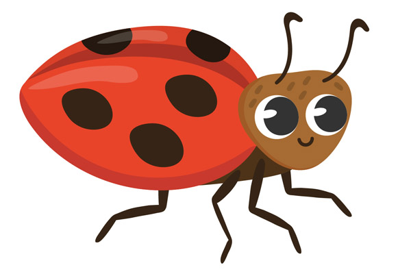 Dessin de coccinelle à colorier