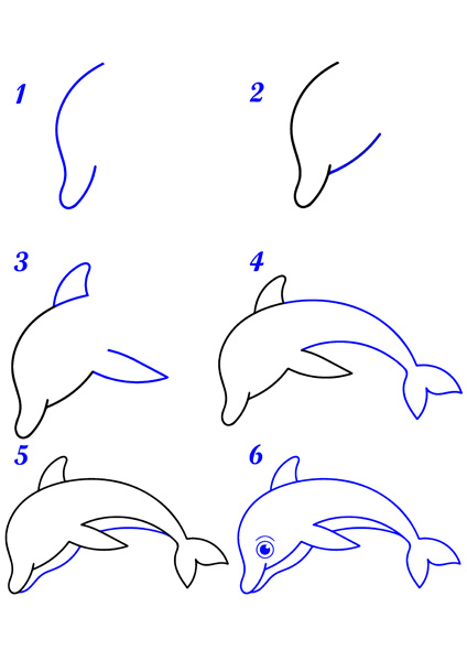 Dessin dauphin