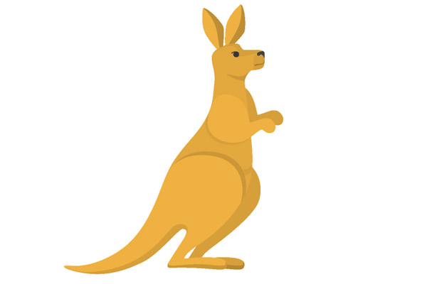 Dessin de kangourou à colorier