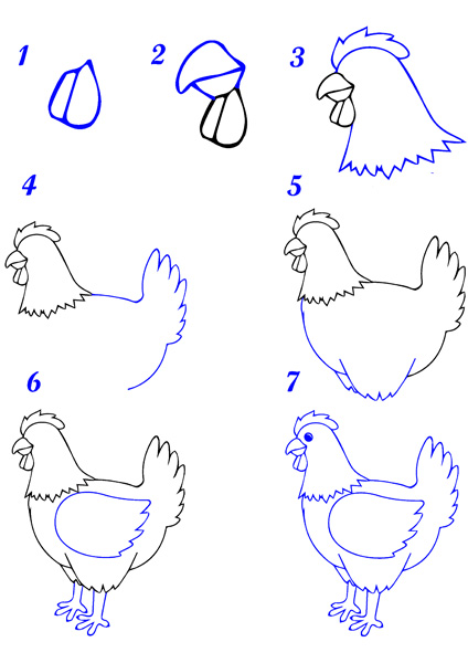 Dessin poule