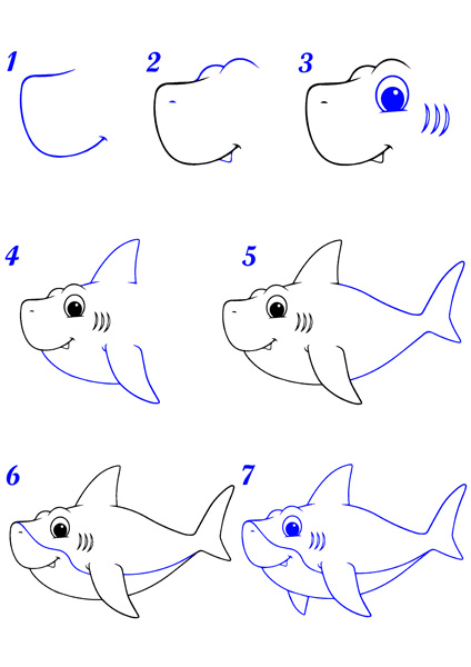 Dessin requin