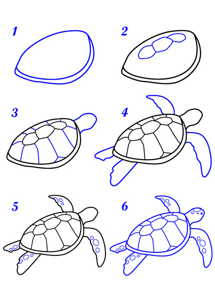 Dessin tortue