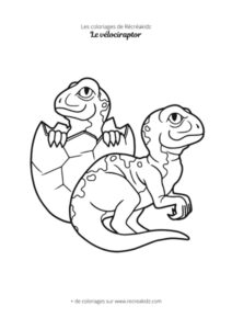 Coloriage de bébé Vélociraptor