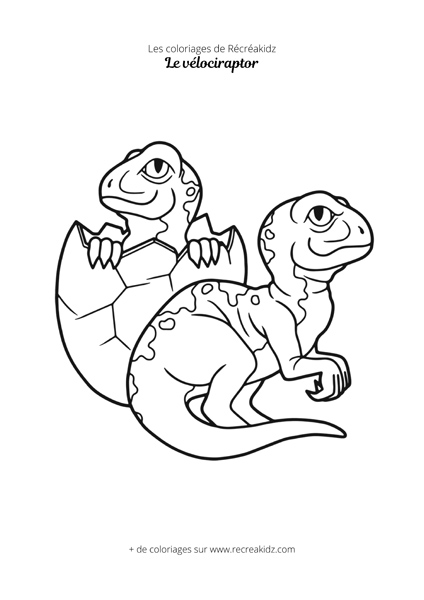 Coloriage bébé vélociraptor  Dessin à colorier & imprimer en PDF