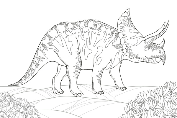 Coloriage tricératops à imprimer