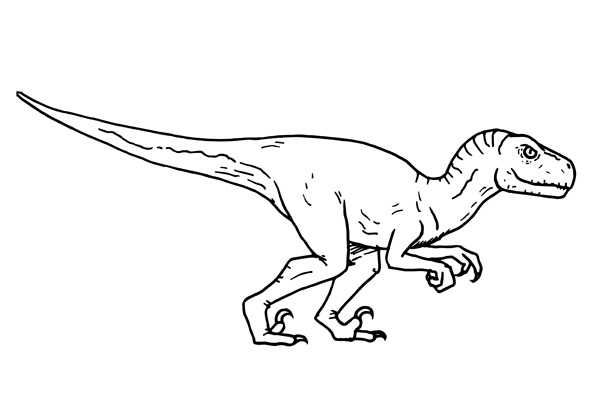 Coloriage vélociraptor à imprimer