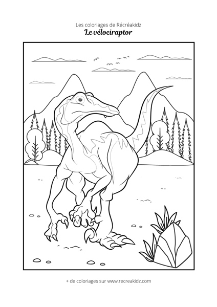 Coloriage vélociraptor CP