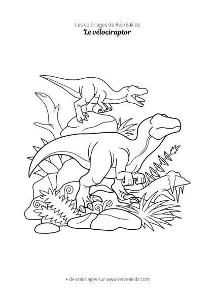 Coloriage vélociraptor simple